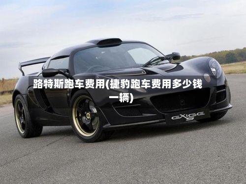 路特斯跑车费用(捷豹跑车费用多少钱一辆)