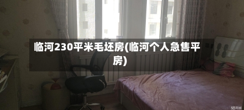 临河230平米毛坯房(临河个人急售平房)-第2张图片