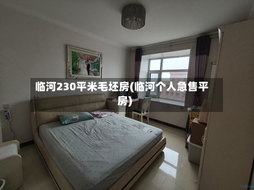 临河230平米毛坯房(临河个人急售平房)-第3张图片