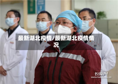 最新湖北疫情/最新湖北疫情情况-第2张图片