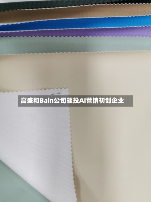 高盛和Bain公司领投AI营销初创企业