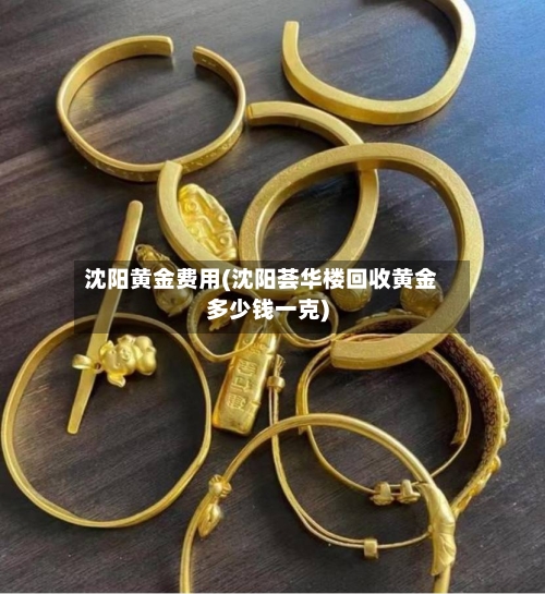 沈阳黄金费用(沈阳荟华楼回收黄金多少钱一克)