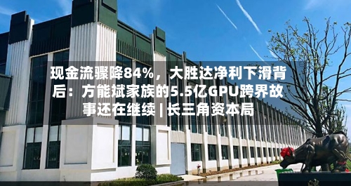 现金流骤降84%，大胜达净利下滑背后：方能斌家族的5.5亿GPU跨界故事还在继续 | 长三角资本局-第2张图片