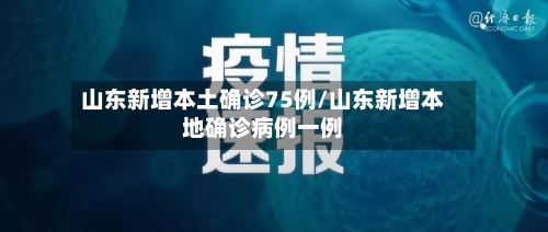 山东新增本土确诊75例/山东新增本地确诊病例一例-第3张图片
