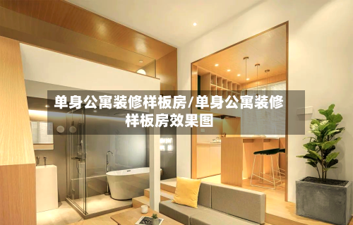 单身公寓装修样板房/单身公寓装修样板房效果图-第2张图片