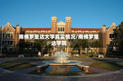 南佛罗里达大学真实情况/南佛罗里达学院