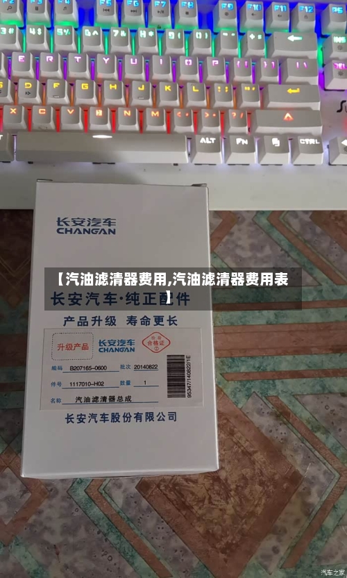 【汽油滤清器费用,汽油滤清器费用表】-第2张图片