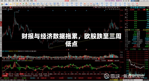 财报与经济数据拖累，欧股跌至三周低点-第2张图片