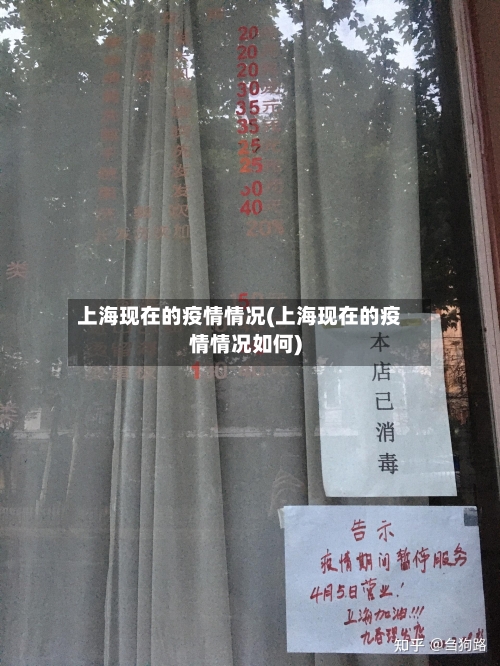 上海现在的疫情情况(上海现在的疫情情况如何)