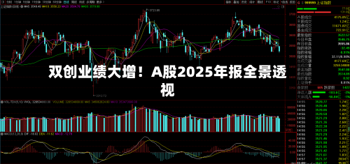 双创业绩大增！A股2025年报全景透视