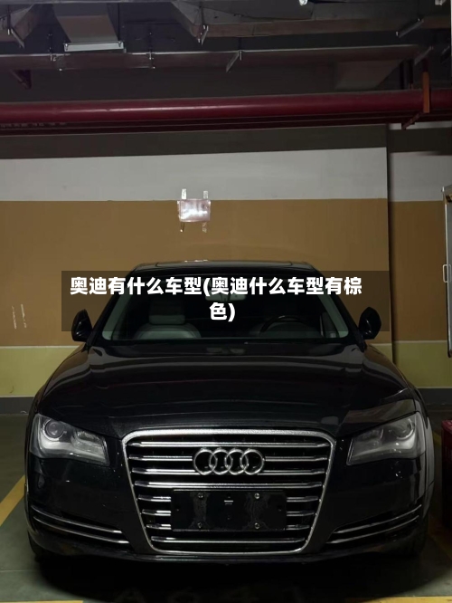 奥迪有什么车型(奥迪什么车型有棕色)