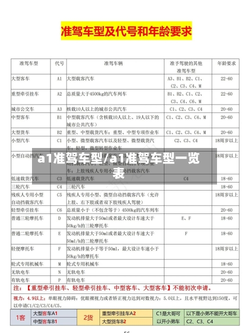 a1准驾车型/a1准驾车型一览表-第2张图片