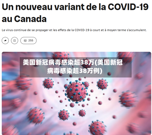 美国新冠病毒感染超38万(美国新冠病毒感染超38万例)-第2张图片