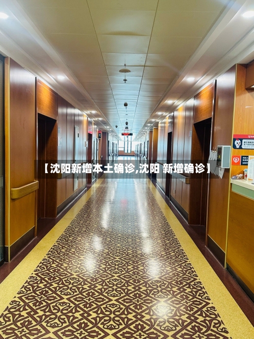 【沈阳新增本土确诊,沈阳 新增确诊】