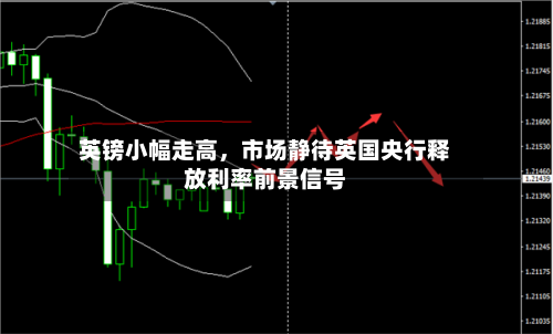 英镑小幅走高	，市场静待英国央行释放利率前景信号-第2张图片