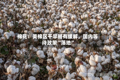 棉花：美棉区干旱略有缓解	，国内等待政策“落地”-第3张图片