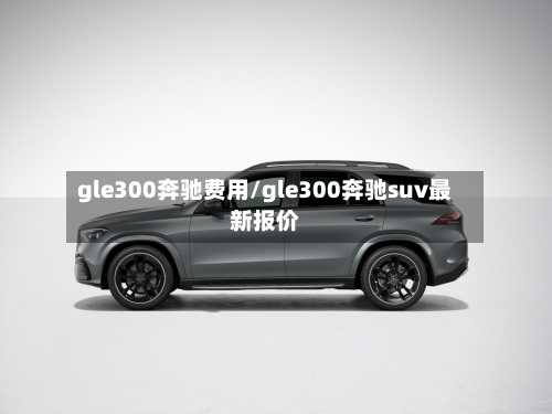 gle300奔驰费用/gle300奔驰suv最新报价