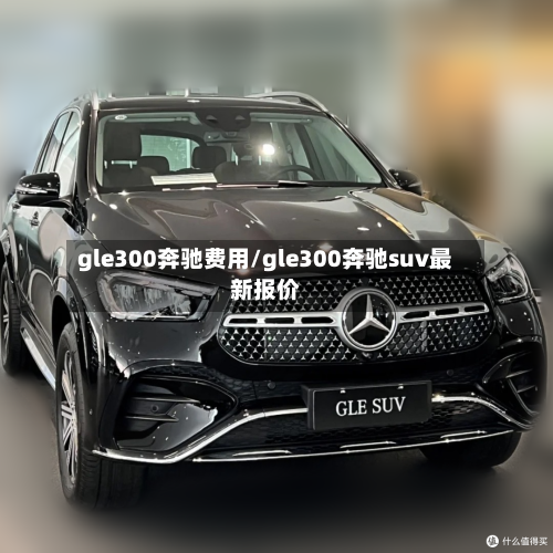 gle300奔驰费用/gle300奔驰suv最新报价-第2张图片