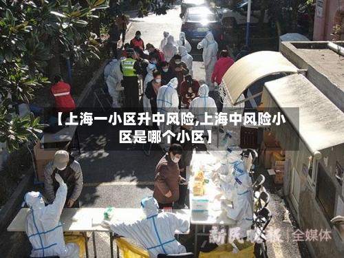 【上海一小区升中风险,上海中风险小区是哪个小区】-第3张图片