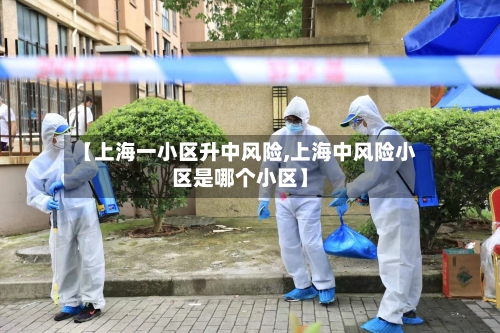 【上海一小区升中风险,上海中风险小区是哪个小区】-第2张图片