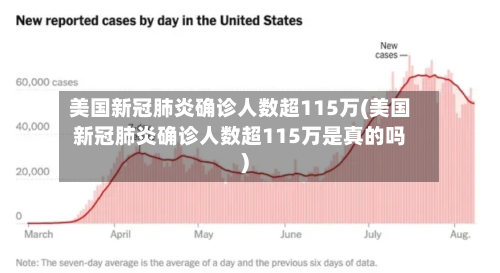 美国新冠肺炎确诊人数超115万(美国新冠肺炎确诊人数超115万是真的吗)