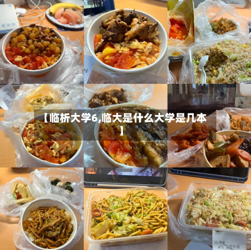 【临析大学6,临大是什么大学是几本】-第2张图片