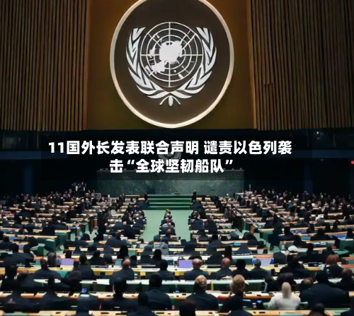11国外长发表联合声明 谴责以色列袭击“全球坚韧船队”-第3张图片