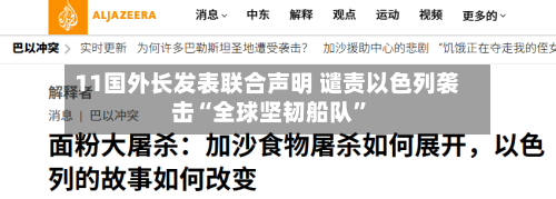 11国外长发表联合声明 谴责以色列袭击“全球坚韧船队”-第2张图片