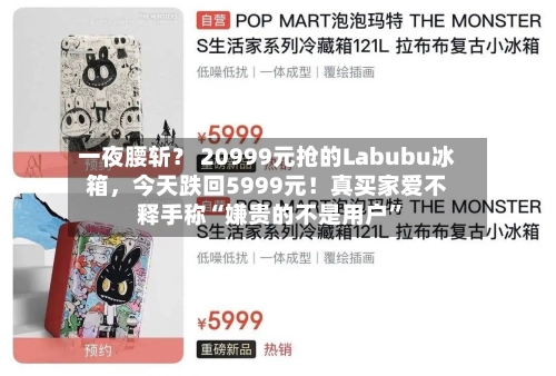 一夜腰斩？ 20999元抢的Labubu冰箱	，今天跌回5999元！真买家爱不释手称“嫌贵的不是用户”-第3张图片