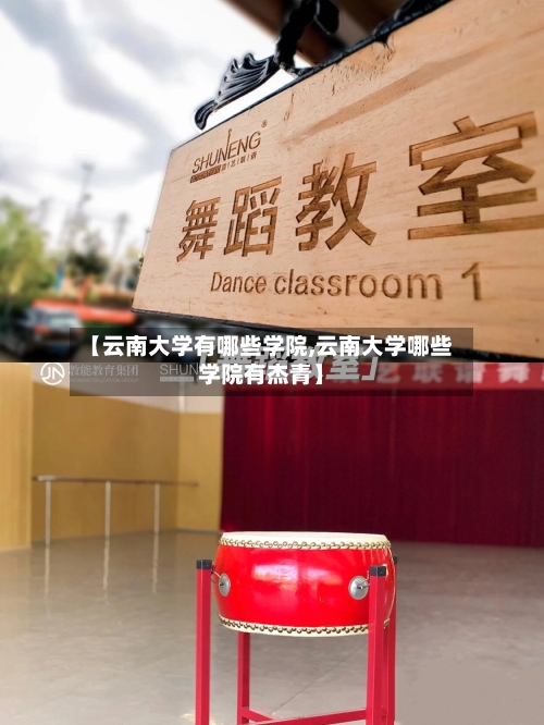 【云南大学有哪些学院,云南大学哪些学院有杰青】-第3张图片