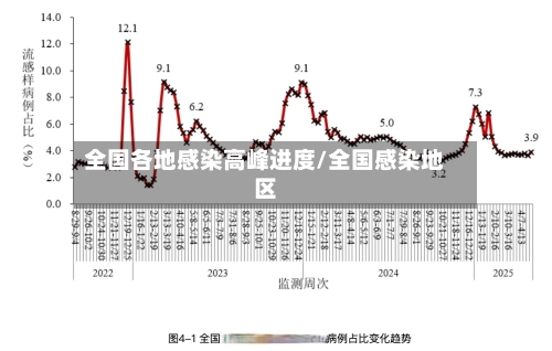 全国各地感染高峰进度/全国感染地区-第2张图片