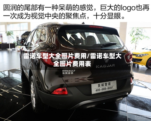 雷诺车型大全图片费用/雷诺车型大全图片费用表-第3张图片