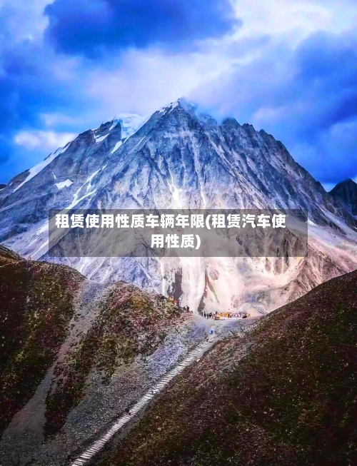 租赁使用性质车辆年限(租赁汽车使用性质)