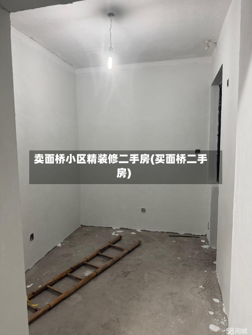 卖面桥小区精装修二手房(买面桥二手房)