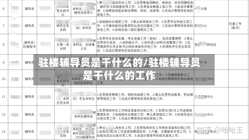 驻楼辅导员是干什么的/驻楼辅导员是干什么的工作-第3张图片