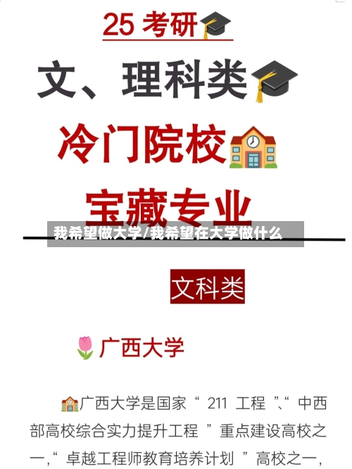我希望做大学/我希望在大学做什么-第3张图片