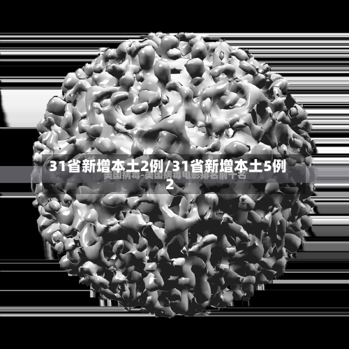 31省新增本土2例/31省新增本土5例2-第3张图片