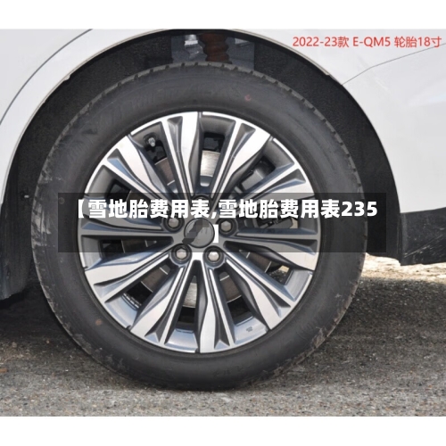 【雪地胎费用表,雪地胎费用表235】-第2张图片