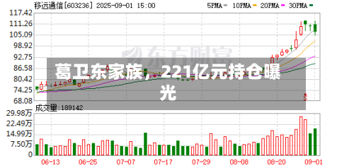葛卫东家族，221亿元持仓曝光