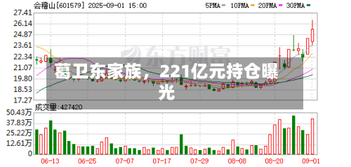 葛卫东家族，221亿元持仓曝光-第2张图片