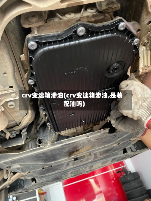 crv变速箱渗油(crv变速箱渗油,是装配油吗)-第3张图片