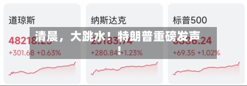 清晨，大跳水！特朗普重磅发声！-第2张图片