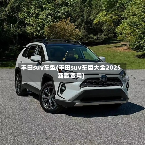 丰田suv车型(丰田suv车型大全2025新款费用)-第3张图片