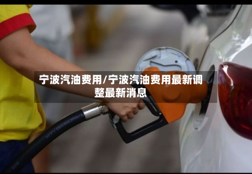 宁波汽油费用/宁波汽油费用最新调整最新消息-第2张图片