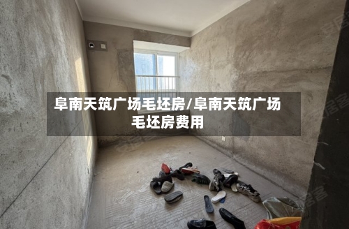 阜南天筑广场毛坯房/阜南天筑广场毛坯房费用