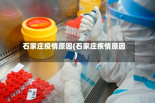 石家庄疫情原因(石家庄疾情原因)