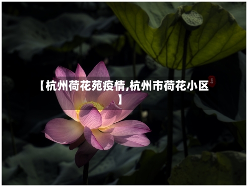 【杭州荷花苑疫情,杭州市荷花小区】-第2张图片