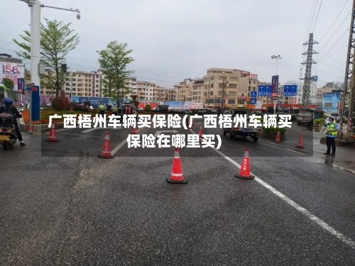 广西梧州车辆买保险(广西梧州车辆买保险在哪里买)-第2张图片