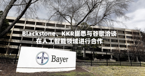 Blackstone、KKR据悉与谷歌洽谈在人工智能领域进行合作-第2张图片