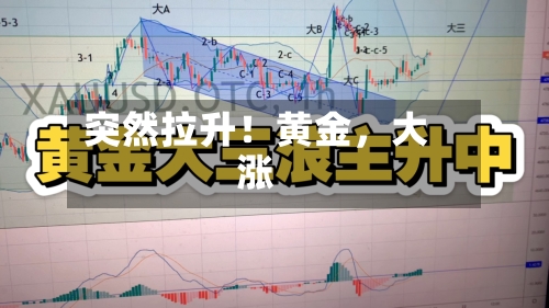 突然拉升！黄金	，大涨-第3张图片